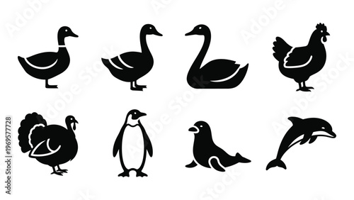 A collection of black silhouettes depicting various birds and aquatic animals including a dolphin in a minimalist style silhouette high quality