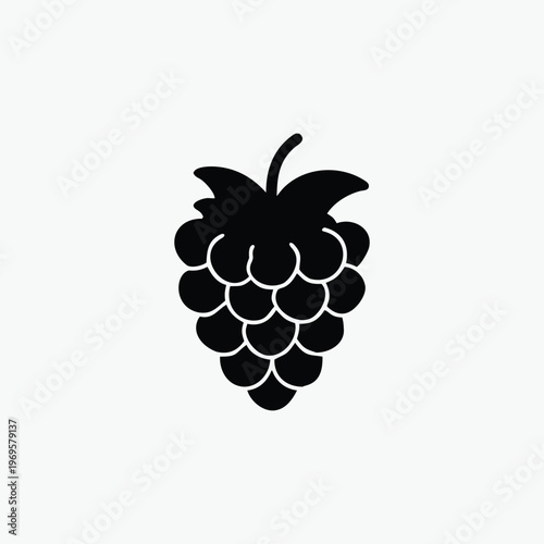 raspberry icon silhoutte vector template