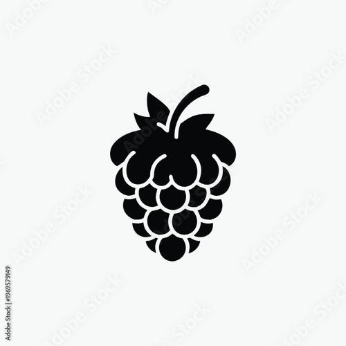 raspberry icon silhoutte vector template