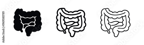Human digestive organs icon set. Intestines anatomy in black solid, outlined, and thin line styles.