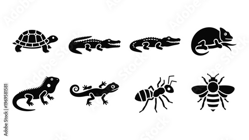 A collection of black reptile and insect silhouettes depicting various creatures including turtles lizards and bees silhouette high quality professional detailed
