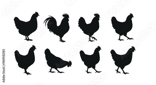 chicken silhouettes