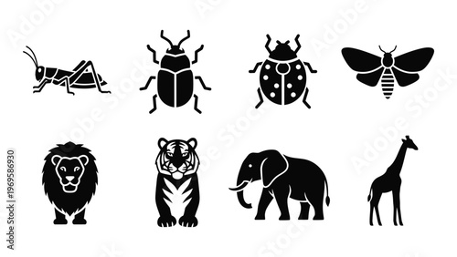 Canvas Print A collection of animal silhouettes depicting insects wild cats an elephant and a