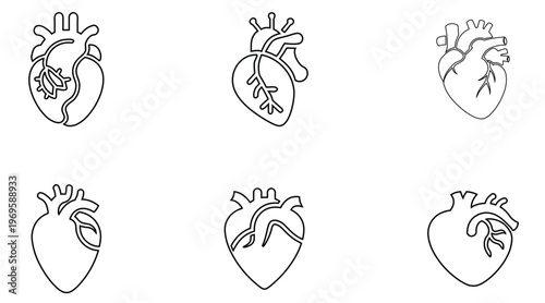 Human heart symbol line icon set, heart anatomy cardiology diagram symbol outline icon illustration