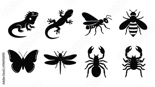 A collection of black insect and reptile silhouettes including a lizard bee dragonfly and crab silhouette high quality professional detailed modern