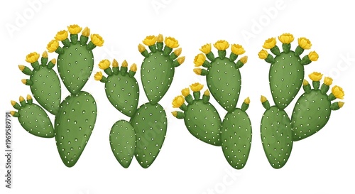 Three green cacti with yellow flowers isolated on white background