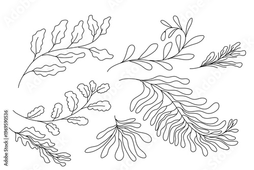 Vector artwork displays a lush collection of leaves, combining tropical and garden foliage with clean lines, scalable precision, and natural harmony for eco‑friendly designs.