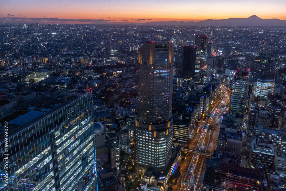Fototapeta premium View of Shibuya downtown in Tokyo with high-rise towers clustering in Shibuya area in dusk