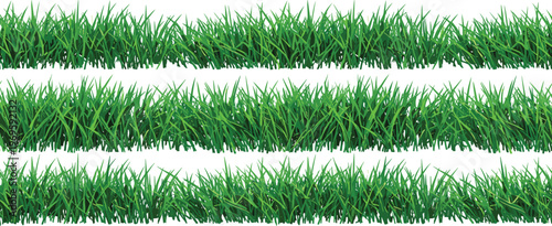 Green grass strips silhouette, nature lawn vector, realistic blades illustration, eco design artwork, outdoor landscape texture