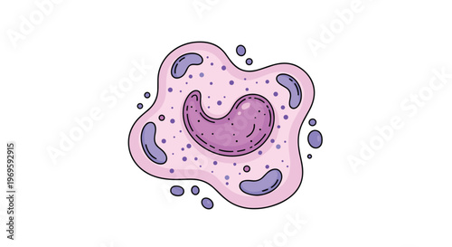 Stylized biological cell structure with organelles and a nucleus, colorful scientific diagram for educational or medical infographics.