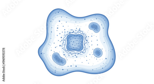 Biological cell structure diagram featuring various organelles including a nucleus and mitochondria depicted in blue shades.