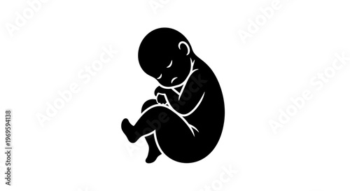 Silhouette of a Fetus in Womb Position