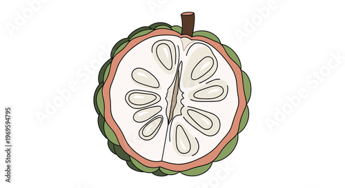 Half-cut custard apple fruit revealing its textured green skin, creamy white flesh, and black seeds, healthy tropical fruit on white.