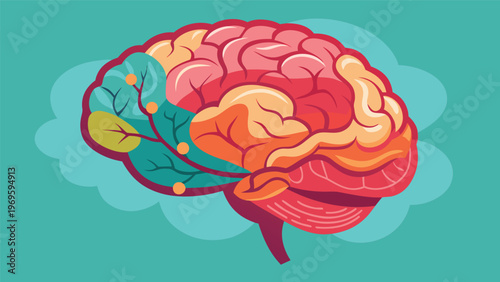 Colorful brain image showing different regions and structure against a simple background with no distractions