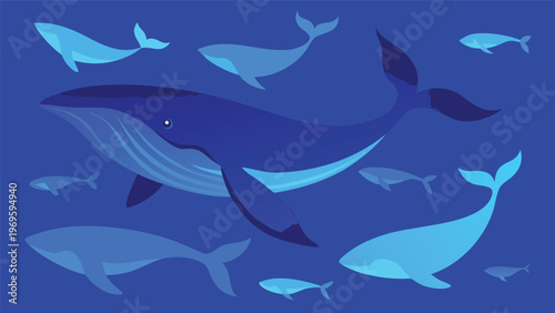 Whales swimming in the ocean at various depths during daytime