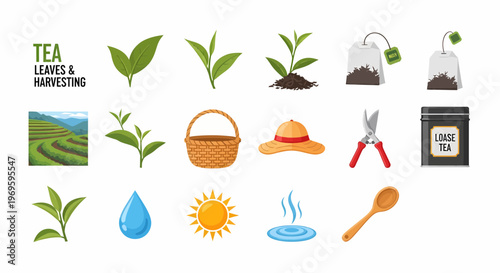 Tea Leaves and Brewing Accessories.