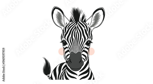 Detailed artistic close-up illustration of a zebra face with pink cheeks and black and white stripes on a white background.
