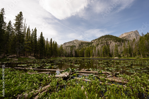 Nymph Lake lily pads with Rocky Mountain National Park landscape