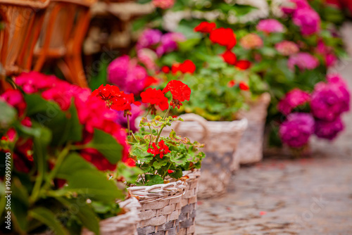 Charming outdoor garden filled with vibrant flowers in woven baskets creating a colorful scene