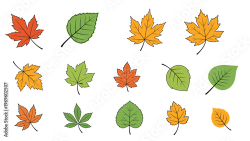 Comprehensive collection of autumn leaves in different shapes and vibrant fall colors including green, orange, and yellow on a white background.