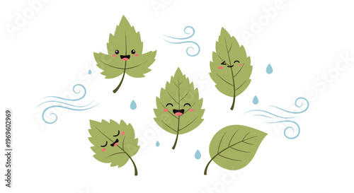 Collection of cute cartoon green leaves with happy facial expressions blowing in the wind with water drops on a plain white background.