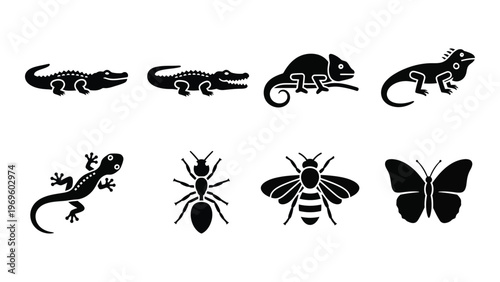A collection of black animal silhouettes displays reptiles insects and a butterfly on a white background silhouette high quality professional detailed
