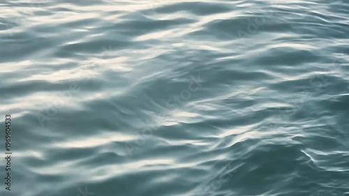 Calm water surface with gentle ripples reflecting sunlight, showcasing the serene movement of waves in a tranquil aquatic environment