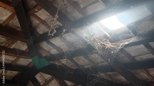 Sunlight through wooden roof beams with spider web, rustic attic interior, dramatic light, vintage house concept