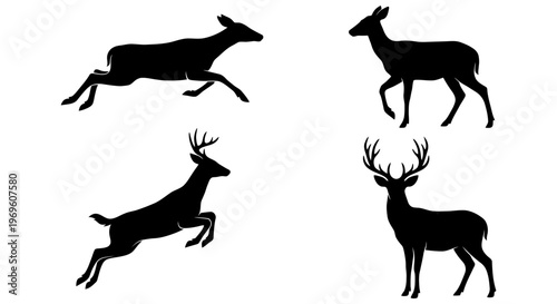 Silhouettes of deer in various poses