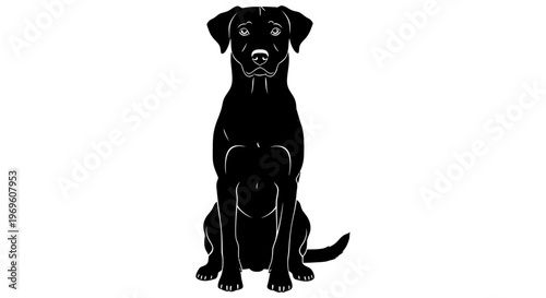 Black dog sitting and looking forward