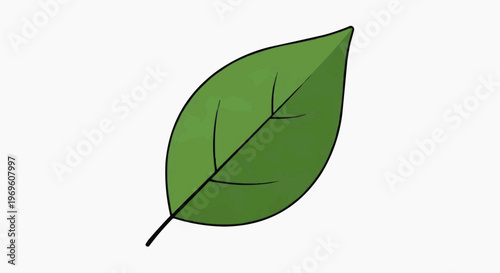 green leaf vector