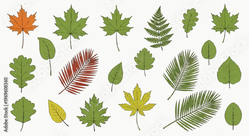 green leaf vector