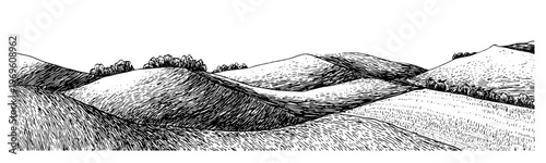 Wide landscape illustration of agricultural terrain with cultivated rows and distant treeline for wine label and rural themed design