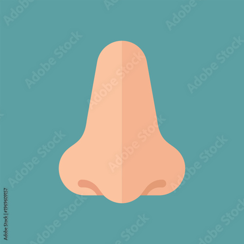 Sense of Smell: A simplified illustration of a human nose, highlighting its role in the sense of smell and appreciation of aromas.