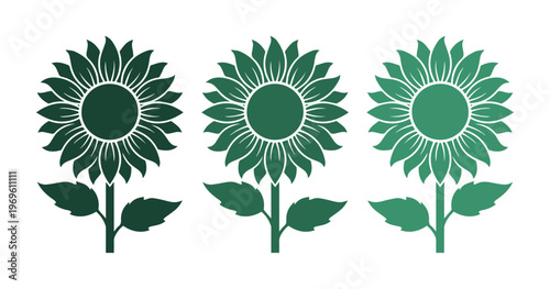 Elegant sunflower vector set, three green floral illustrations, botanical design elements for nature-themed projects, decorative flower graphics.