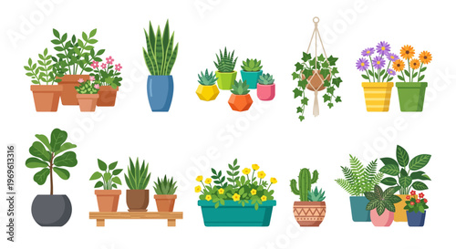 Collection of colorful potted plants and hanging floral arrangements