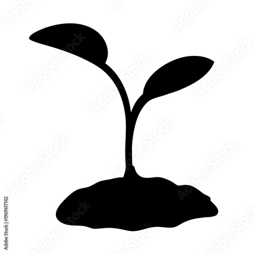 A simple illustration of a young seedling with three leaves Vector