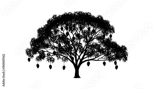 Mango Tree Silhouette with Fruits Black and White Nature Vector Illustration