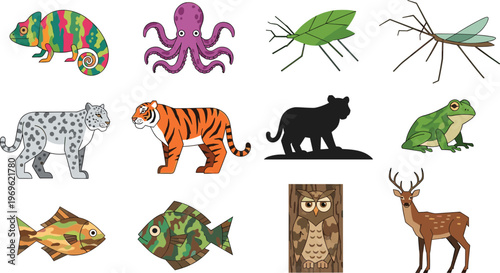 Wildlife Animal Vector Set Chameleon Octopus Tiger Leopard Owl Deer Fish Collection
