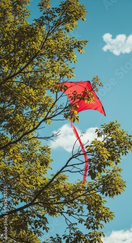 Red kite flying high in tree.