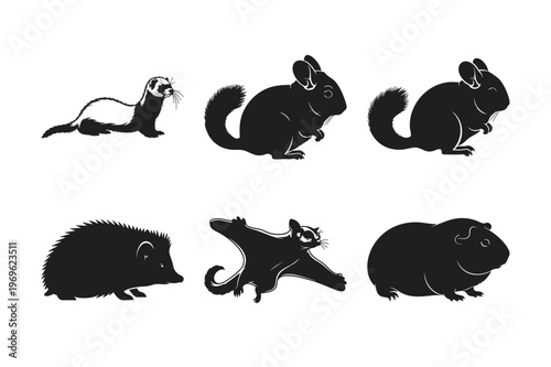Exotic pet silhouette set bundle with chinchilla ferret and hedgehog.