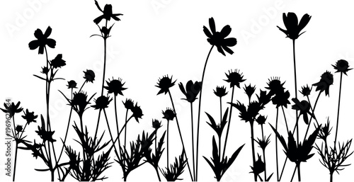 Floral Meadow Silhouette Border