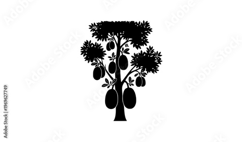 Jackfruit Tree Silhouette Vector Illustration Tropical Fruit Tree Isolated on White Background