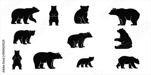 Set of black silhouettes of bears in different poses on white background animal wildlife