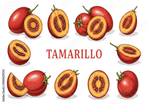 Exotic tamarillo fruit illustrations, showcasing whole and sliced tree tomatoes with vibrant red skin and healthy pulp
