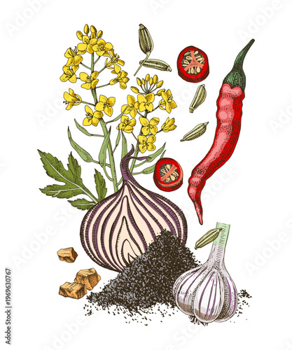 BBQ vector hand drawn spice mix