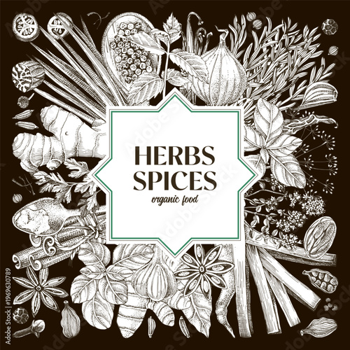 Herbs and spices shop vector background