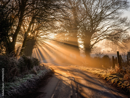 Sunbeams Through Frosty Winter Countryside Road