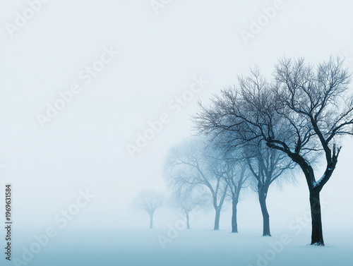 Misty Morning with Bare Trees in Foggy Landscape