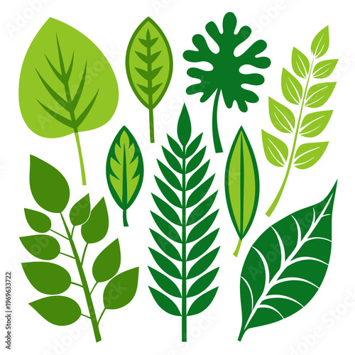 Green Leaf Silhouette Collection, Botanical Nature Vector Set
